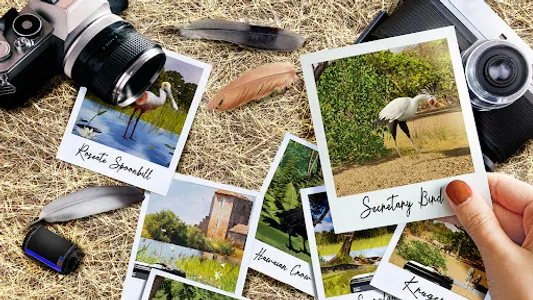 The Birders screenshot 14