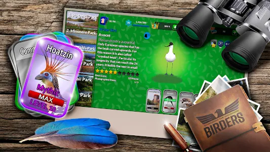 The Birders screenshot 16