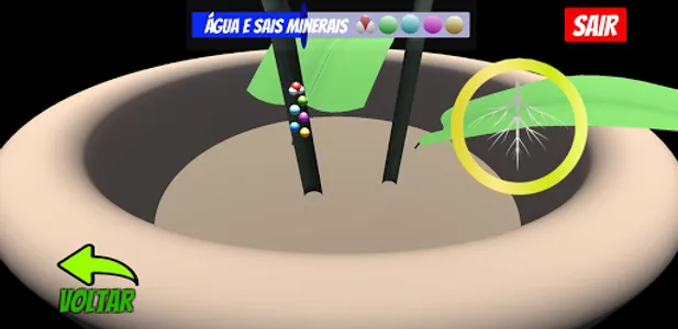 ARFotossíntese screenshot 21