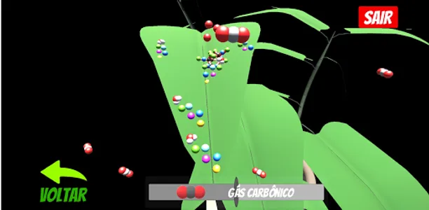 ARFotossíntese screenshot 8
