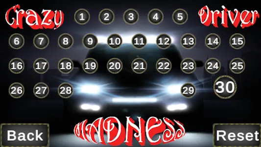Crazy Driver - Madness screenshot 1