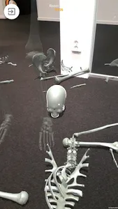 LumbAR screenshot 2