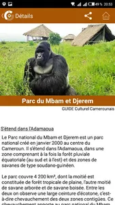 Guide Culturel Camerounais screenshot 3