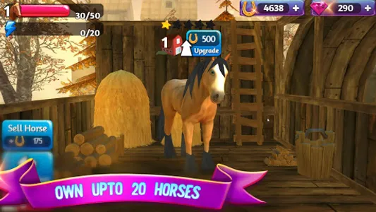 Horse Paradise: My Dream Ranch screenshot 14