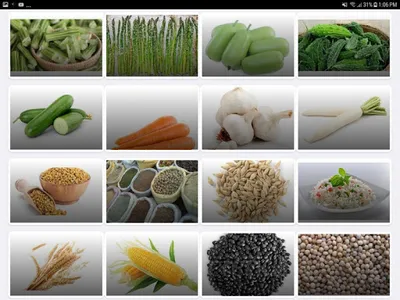 Benefits Fruits & Vegetables screenshot 2