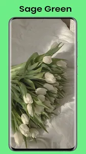 Sage Green Wallpaper screenshot 0