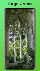 Sage Green Wallpaper screenshot 3