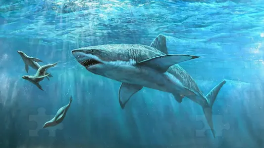 Megalodon Game Puzzle screenshot 0
