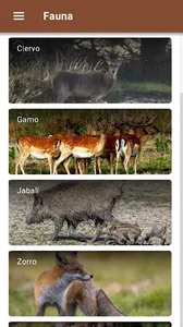 Doñana Visitas screenshot 1