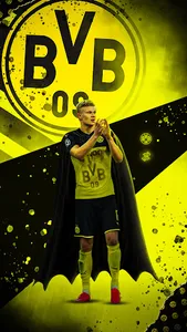 Erling Halland Wallpaper HD 4K screenshot 3