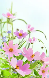 Gentle Flowers Live Wallpaper screenshot 1