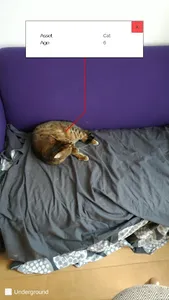 GeodanGo Augmented Reality Dem screenshot 2