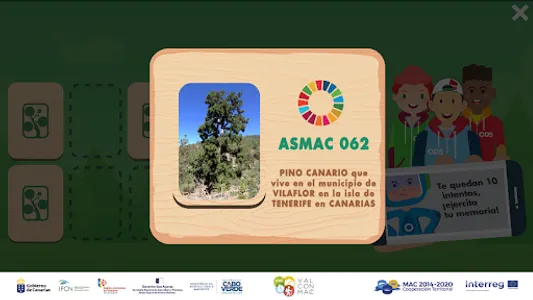 Memoria forestal screenshot 2
