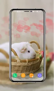 Guinea Pig Wallpapers screenshot 8