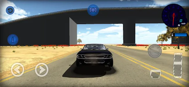 Desert Driver screenshot 3