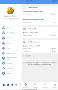 Hancock Whitney BIZ Tablet screenshot 6