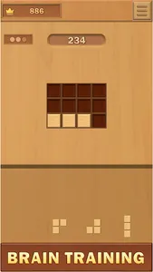 Wood Block Puzzle screenshot 17