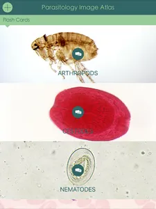 Parasitology Image Atlas screenshot 12