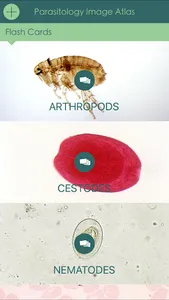 Parasitology Image Atlas screenshot 2