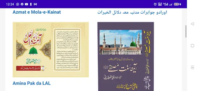 Idara Noor Ul Islam screenshot 4