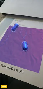 UCT RA Bovinos screenshot 4