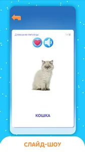 3000 развивающих карточек screenshot 3