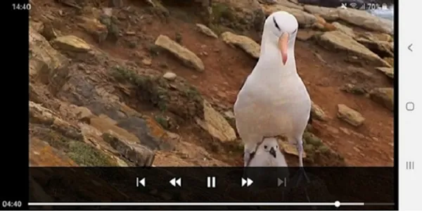 IRN HD Video Player — All Vide screenshot 2