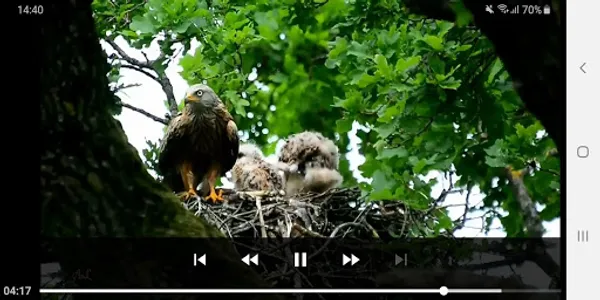IRN HD Video Player — All Vide screenshot 3