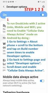 DoubLinks: a Multi-Path VPN screenshot 1