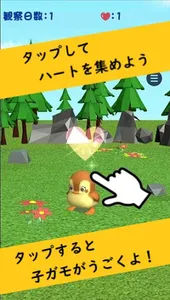 かもさんぽ　癒しの観察育成ゲーム screenshot 0