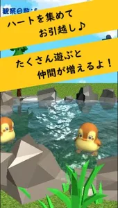 かもさんぽ　癒しの観察育成ゲーム screenshot 4