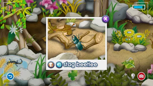 InsectPhoto screenshot 1
