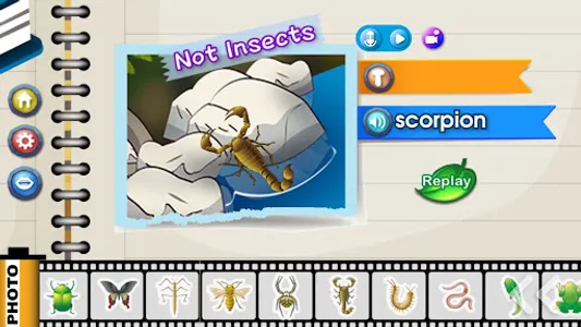 InsectPhoto screenshot 3