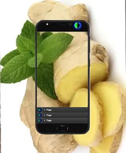 Kencur Cultivation screenshot 1