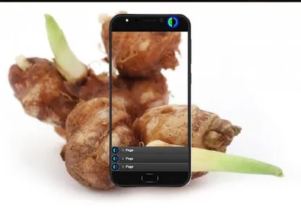 Kencur Cultivation screenshot 2
