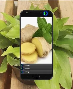 Kencur Cultivation screenshot 3