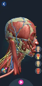 Human Anatomy 3D screenshot 7