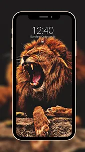 Lion Wallpaper Full HD screenshot 2