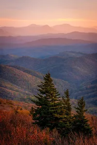 plura live wallpaper screenshot 2