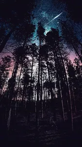 plura live wallpaper screenshot 7