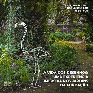 MMA_Desenha_Vida screenshot 8