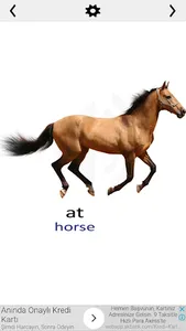 Animals & Sounds screenshot 6
