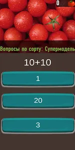 Rijk Zwaan: Tomato Quiz screenshot 1