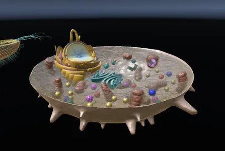 Cell Models screenshot 0