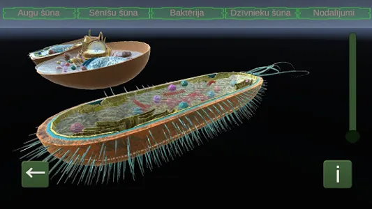 Cell Models screenshot 1