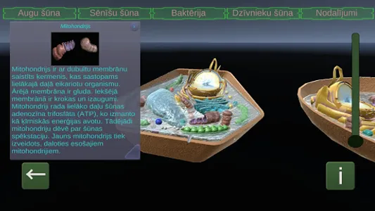 Cell Models screenshot 2