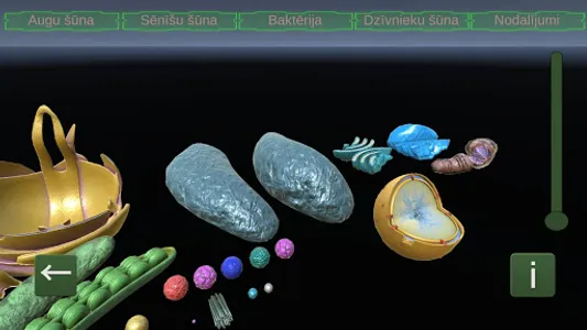 Cell Models screenshot 7