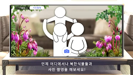 북방계식물가상전시원 screenshot 3