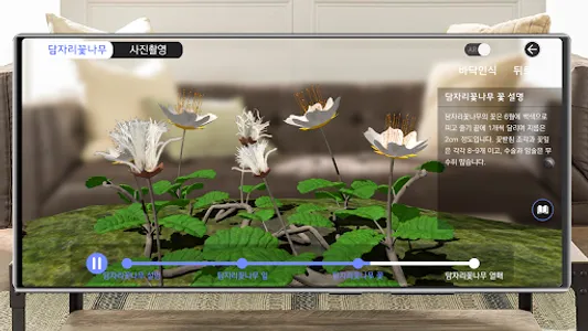 북방계식물가상전시원 screenshot 6