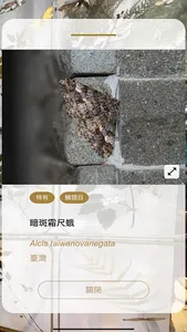 智慧觀臺博 NTM Smart + screenshot 17